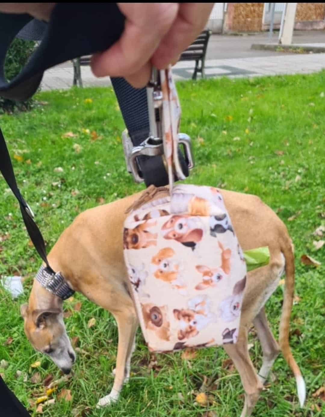 Cliente satisfecho 13