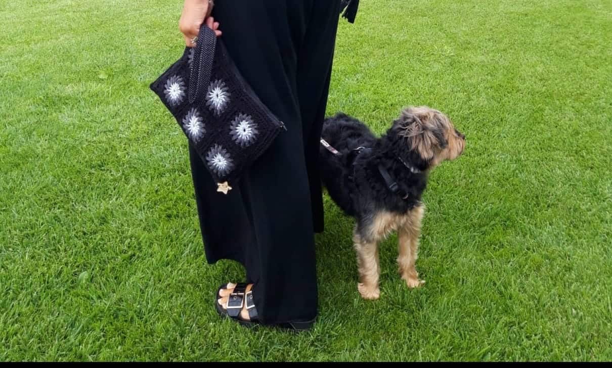 Cliente satisfecho 6