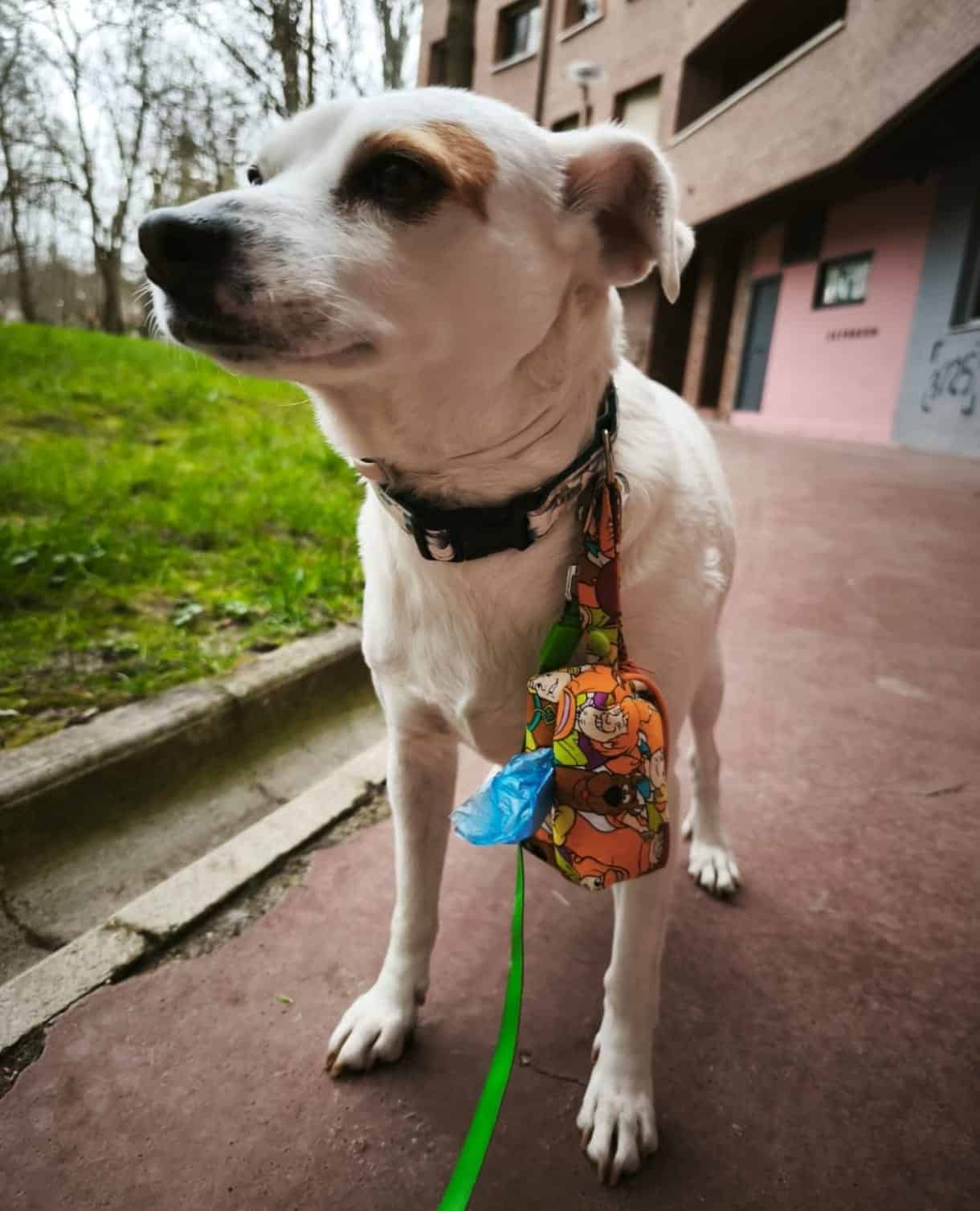 Cliente satisfecho 8